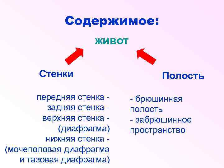 Содержимое: живот Стенки передняя стенка задняя стенка верхняя стенка (диафрагма) нижняя стенка (мочеполовая диафрагма