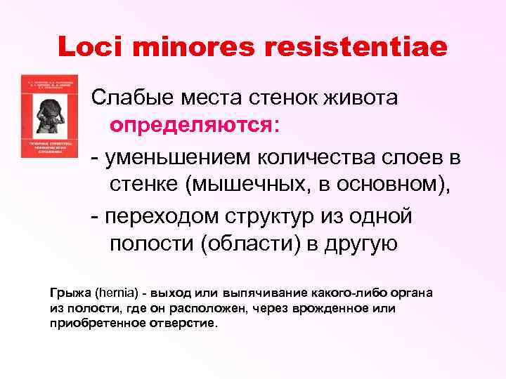 Loci minores resistentiae Слабые места стенок живота определяются: - уменьшением количества слоев в стенке