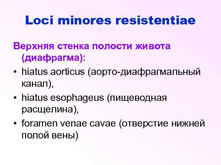 Loci minores resistentiae Верхняя стенка полости живота (диафрагма): • hiatus aorticus (аорто-диафрагмальный канал), •