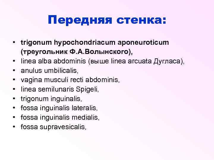 Передняя стенка: • trigonum hypochondriacum aponeuroticum (треугольник Ф. А. Волынского), • linea alba abdominis