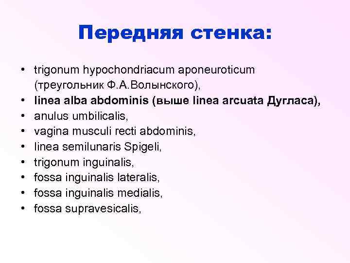 Передняя стенка: • trigonum hypochondriacum aponeuroticum (треугольник Ф. А. Волынского), • linea alba abdominis