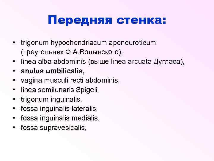 Передняя стенка: • trigonum hypochondriacum aponeuroticum (треугольник Ф. А. Волынского), • linea alba abdominis