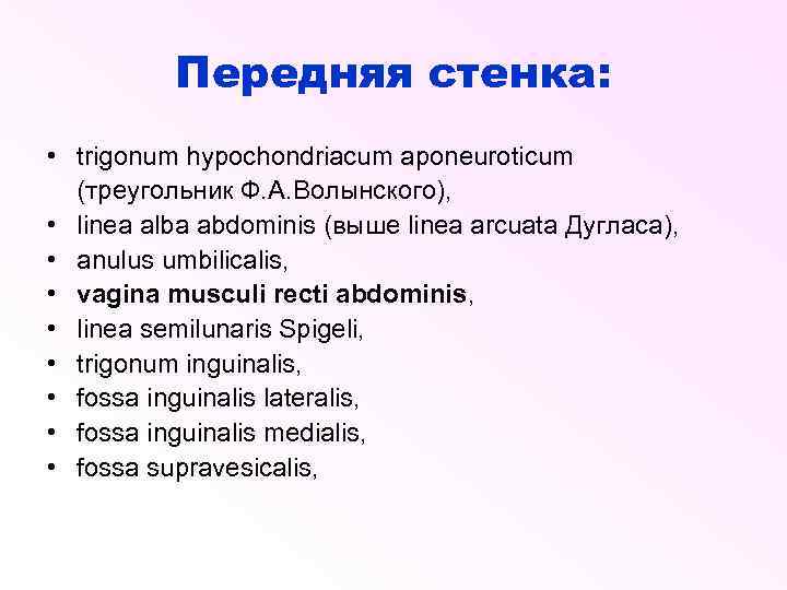 Передняя стенка: • trigonum hypochondriacum aponeuroticum (треугольник Ф. А. Волынского), • linea alba abdominis