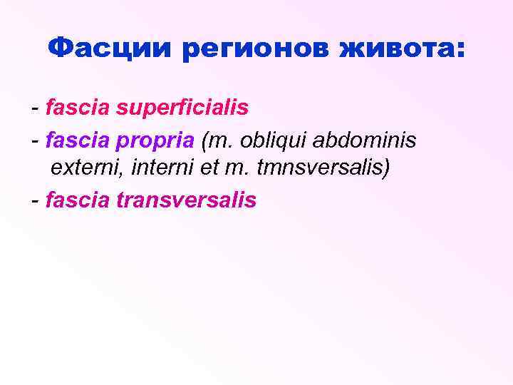 Фасции регионов живота: - fascia superficialis - fascia propria (т. obliqui abdominis externi, interni