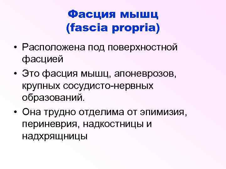 Фасция мышц (fascia propria) • Расположена под поверхностной фасцией • Это фасция мышц, апоневрозов,