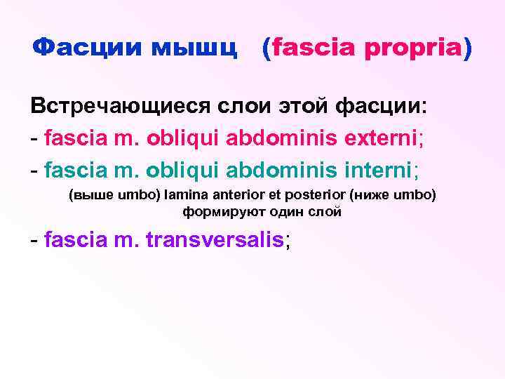 Фасции мышц (fascia propria) Встречающиеся слои этой фасции: - fascia m. obliqui abdominis externi;