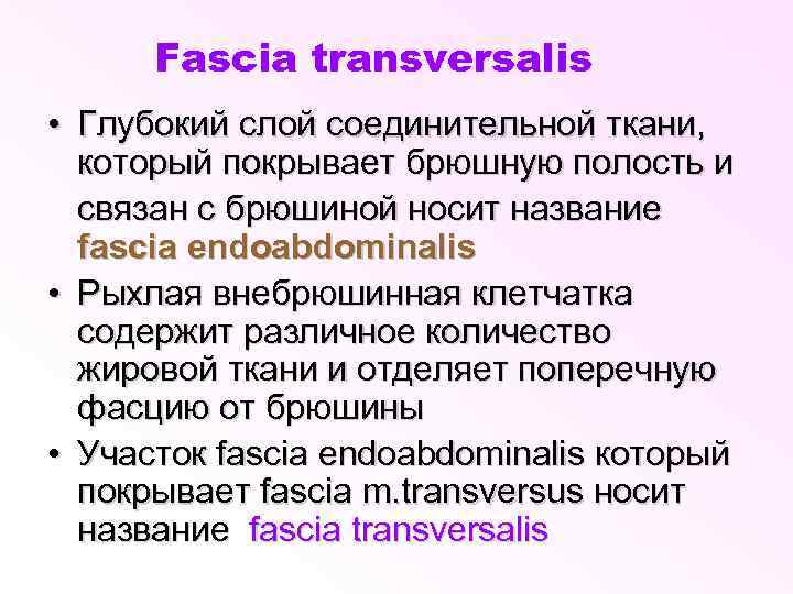 Fascia transversalis • Глубокий слой соединительной ткани, который покрывает брюшную полость и связан с