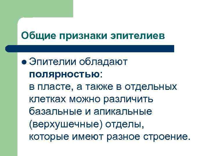 Общие признаки эпителиев l Эпителии обладают полярностью: в пласте, а также в отдельных клетках