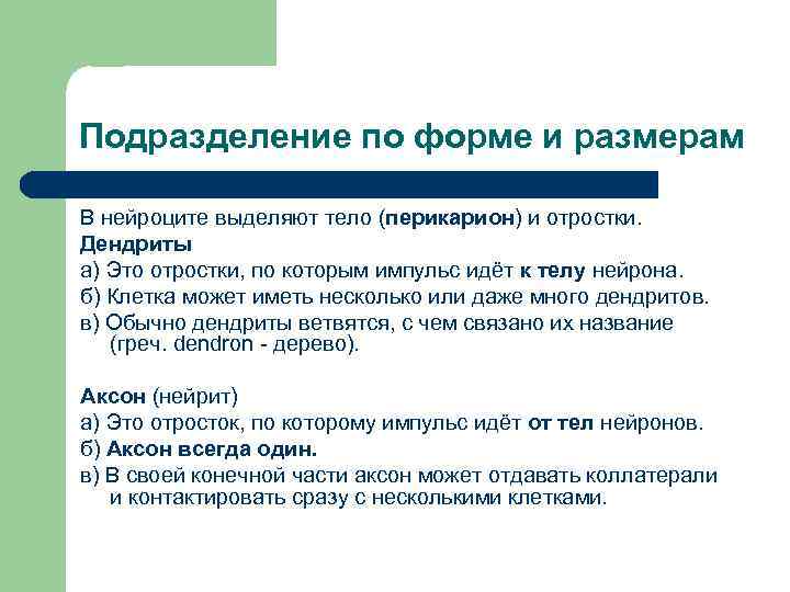 Подразделение по форме и размерам В нейроците выделяют тело (перикарион) и отростки. Дендриты а)