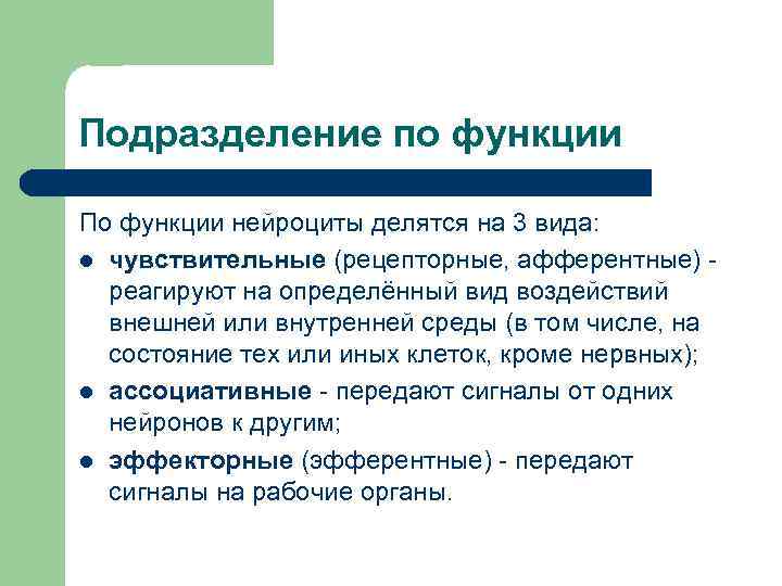 Подразделение по функции По функции нейроциты делятся на 3 вида: l чувствительные (рецепторные, афферентные)