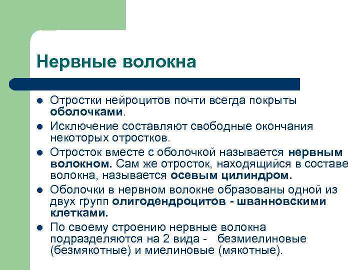 Нервные волокна l l l Отростки нейроцитов почти всегда покрыты оболочками. Исключение составляют свободные