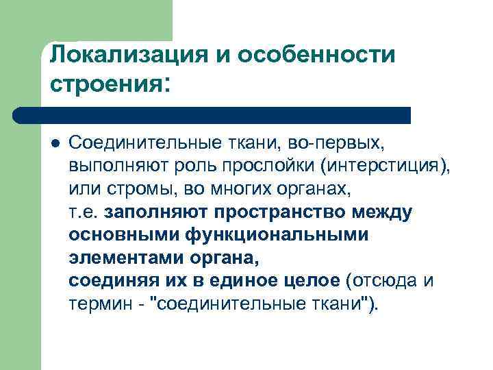 Локализация и особенности строения: l Соединительные ткани, во-первых, выполняют роль прослойки (интерстиция), или стромы,
