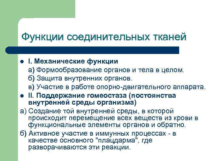 Функции соединительных тканей I. Механические функции а) Формообразование органов и тела в целом. б)