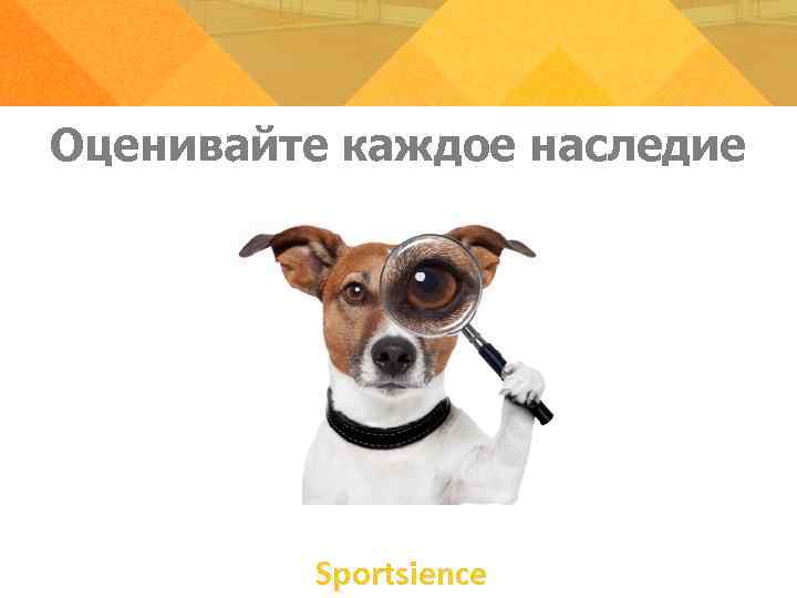 Оценивайте каждое наследие Sportsience Оценивайте каждое наследие Sportsience