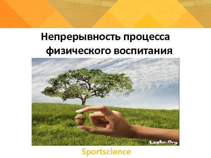  Типы лидеров Непрерывность процесса физического воспитания  Sportsсience 
