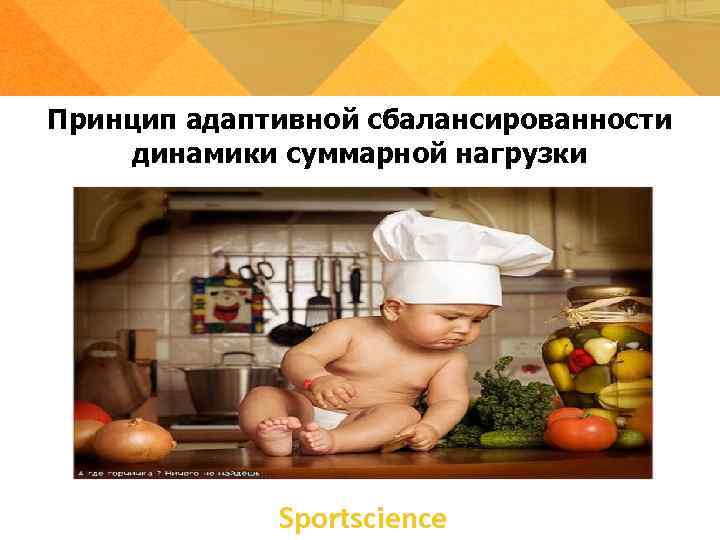 Принцип адаптивной сбалансированности динамики суммарной нагрузки   Sportsсience 