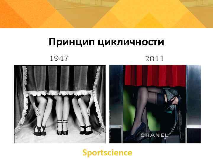 Принцип цикличности   Sportsсience 