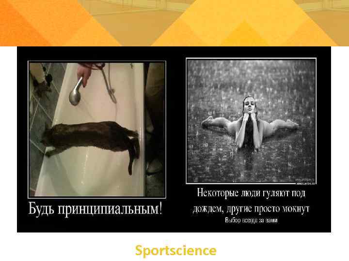 Sportsсience 