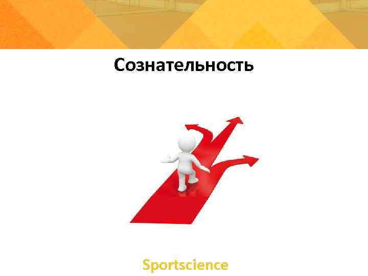 Сознательность  Sportsсience 