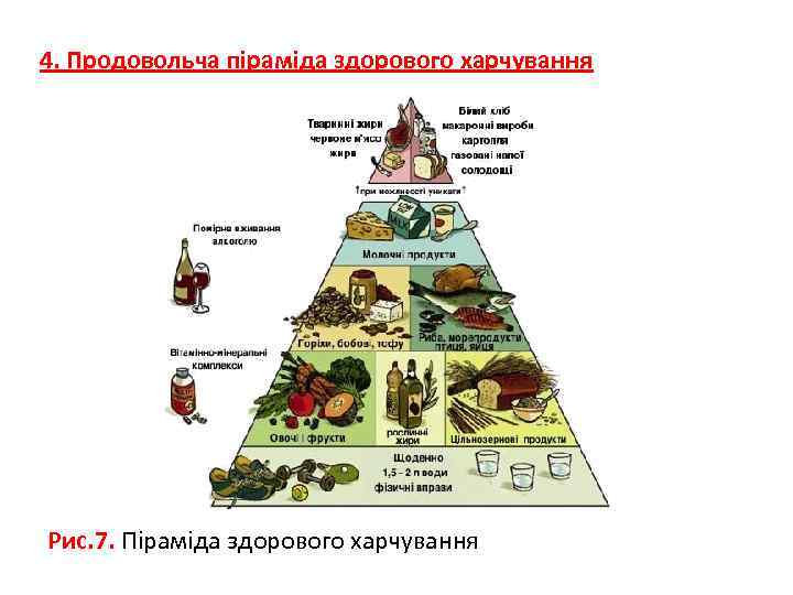 4. Продовольча піраміда здорового харчування Рис. 7. Піраміда здорового харчування 