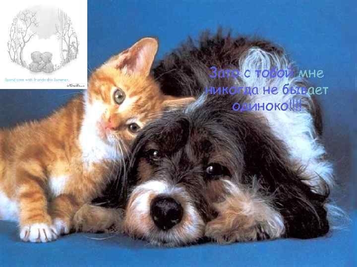  Зато с тобой мне никогда не бывает одиноко!!!! 