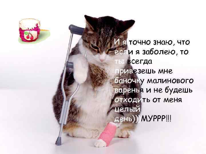 И я точно знаю, что если я заболею, то ты всегда привезешь мне баночку