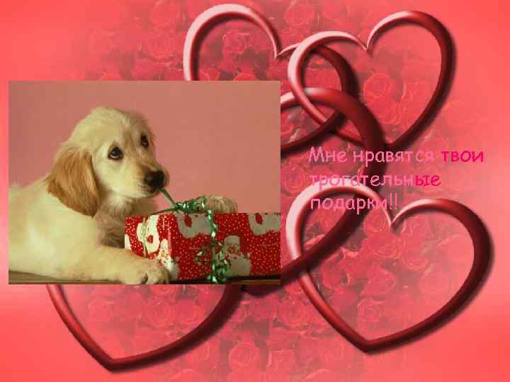 Мне нравятся твои трогательные подарки!! 