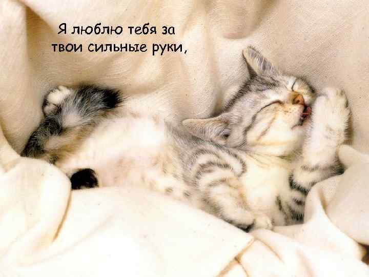  Я люблю тебя за твои сильные руки, 