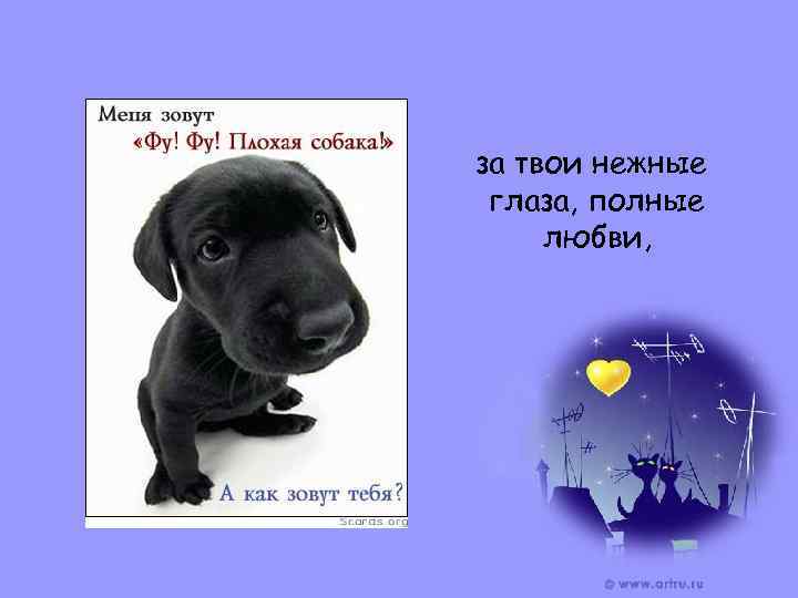 за твои нежные глаза, полные любви, 