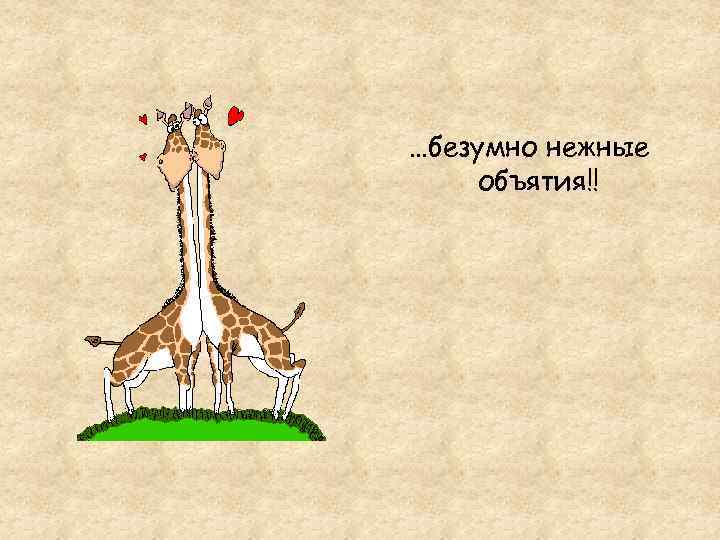 …безумно нежные объятия!! 