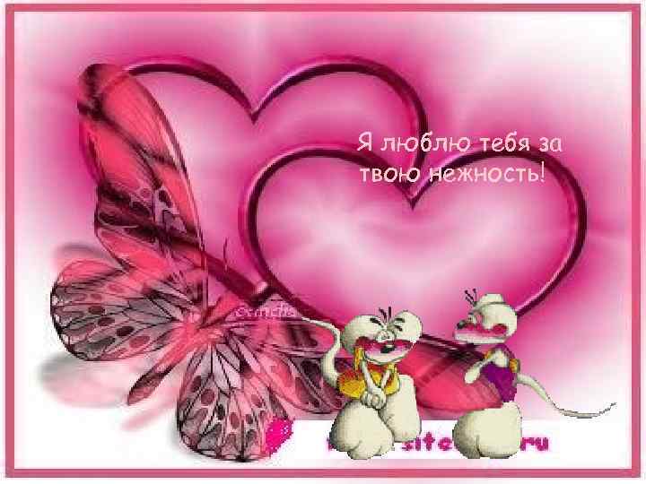 Я люблю тебя за твою нежность! 
