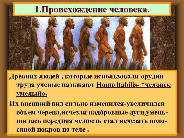   1. Происхождение человека. Древних людей были маленького роста, их тело Австалопитеки ,