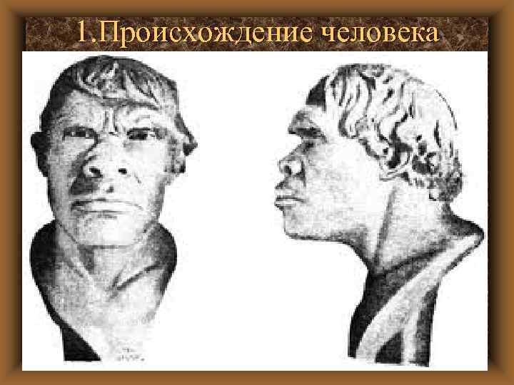 1. Происхождение человека 
