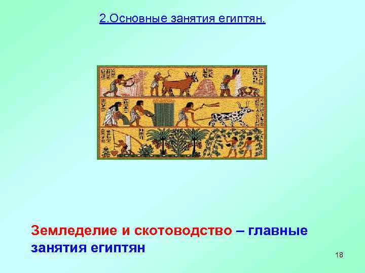   2. Основные занятия египтян. Земледелие и скотоводство – главные занятия египтян 