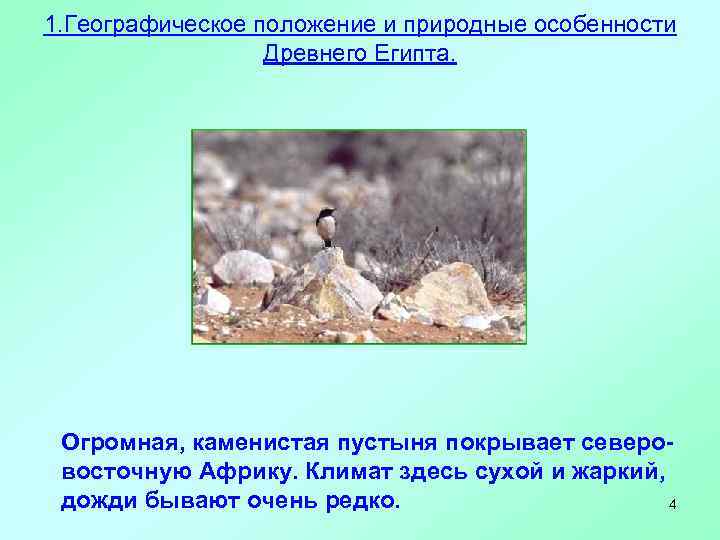 1. Географическое положение и природные особенности    Древнего Египта.  Огромная, каменистая