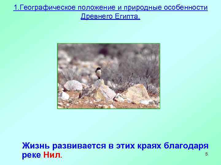 1. Географическое положение и природные особенности    Древнего Египта.  Жизнь развивается