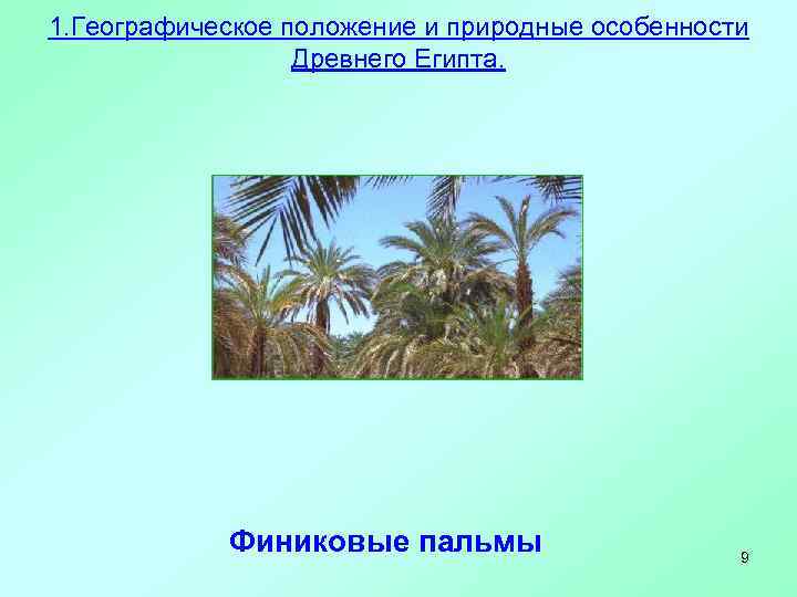 1. Географическое положение и природные особенности    Древнего Египта.   Финиковые