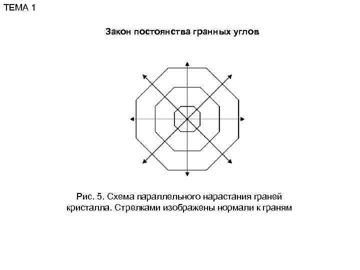 ТЕМА 1    Закон постоянства гранных углов   Рис. 5. Схема