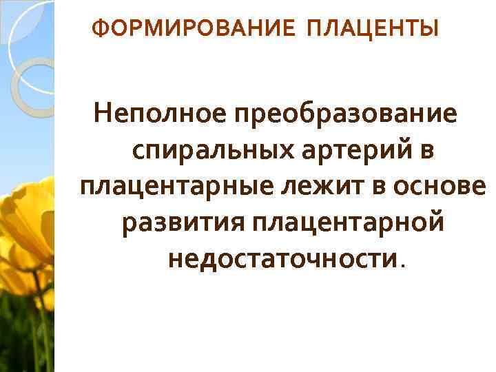 ФОРМИРОВАНИЕ ПЛАЦЕНТЫ Неполное преобразование спиральных артерий в плацентарные лежит в основе развития плацентарной недостаточности.