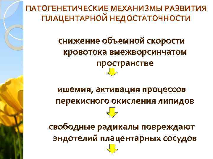 ПАТОГЕНЕТИЧЕСКИЕ МЕХАНИЗМЫ РАЗВИТИЯ ПЛАЦЕНТАРНОЙ НЕДОСТАТОЧНОСТИ снижение объемной скорости кровотока вмежворсинчатом пространстве ишемия, активация процессов