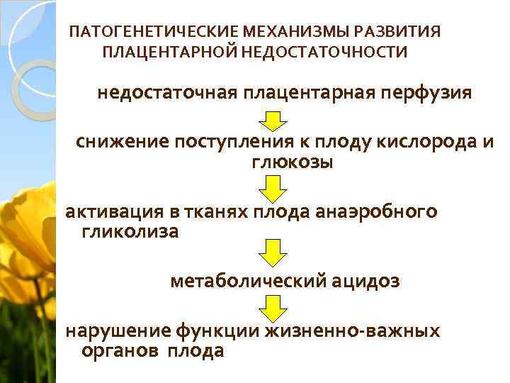 ПАТОГЕНЕТИЧЕСКИЕ МЕХАНИЗМЫ РАЗВИТИЯ ПЛАЦЕНТАРНОЙ НЕДОСТАТОЧНОСТИ недостаточная плацентарная перфузия снижение поступления к плоду кислорода и