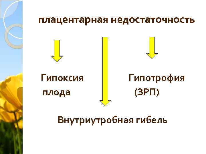 плацентарная недостаточность Гипоксия плода Гипотрофия (ЗРП) Внутриутробная гибель 