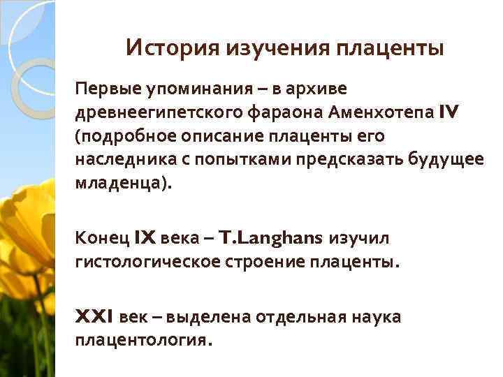 История изучения плаценты Первые упоминания – в архиве древнеегипетского фараона Аменхотепа IV (подробное описание