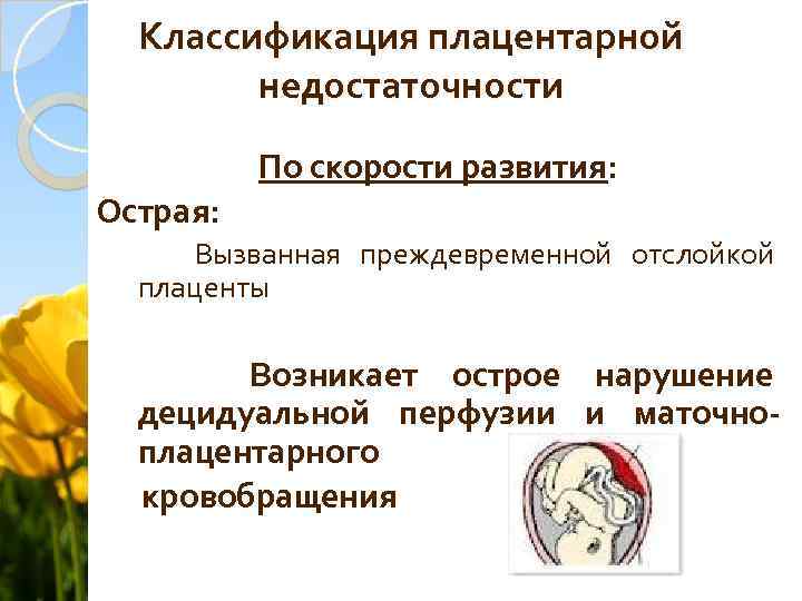 Классификация плацентарной недостаточности По скорости развития: Острая: Вызванная преждевременной отслойкой плаценты Возникает острое нарушение