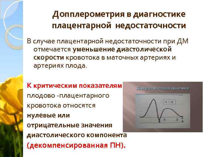 Допплерометрия в диагностике плацентарной недостаточности В случае плацентарной недостаточности при ДМ отмечается уменьшение диастолической