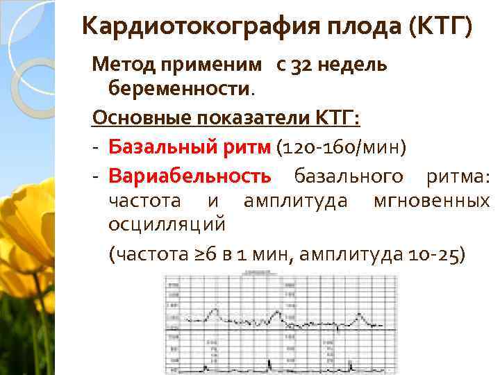 Кардиотокография плода (КТГ) Метод применим с 32 недель беременности. Основные показатели КТГ: - Базальный