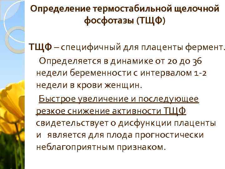 Определение термостабильной щелочной фосфотазы (ТЩФ) ТЩФ – специфичный для плаценты фермент. Определяется в динамике