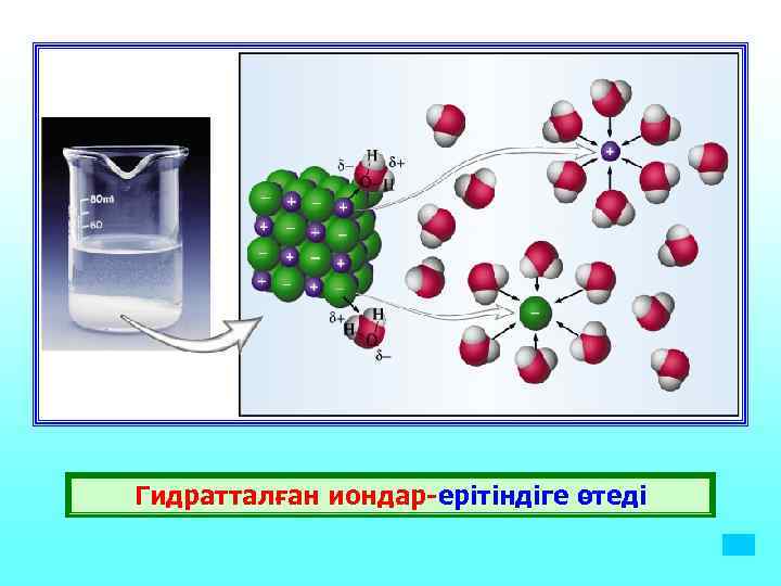 Гидратталған иондар-ерітіндіге өтеді 