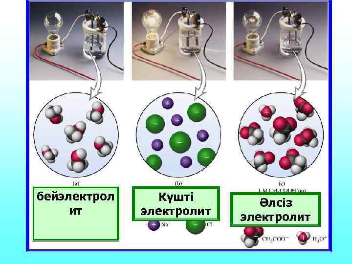 бейэлектрол Күшті   Әлсіз ит  электролит 