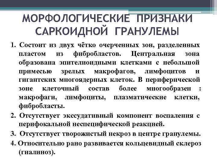   МОРФОЛОГИЧЕСКИЕ ПРИЗНАКИ САРКОИДНОЙ ГРАНУЛЕМЫ 1. Состоит из двух чётко очерченных зон, разделенных